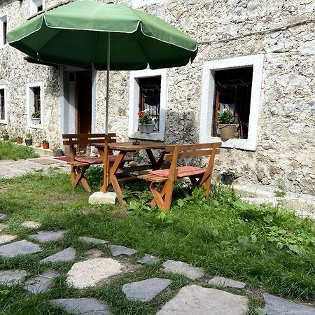 Guesthouse Kujtimi テス エクステリア 写真