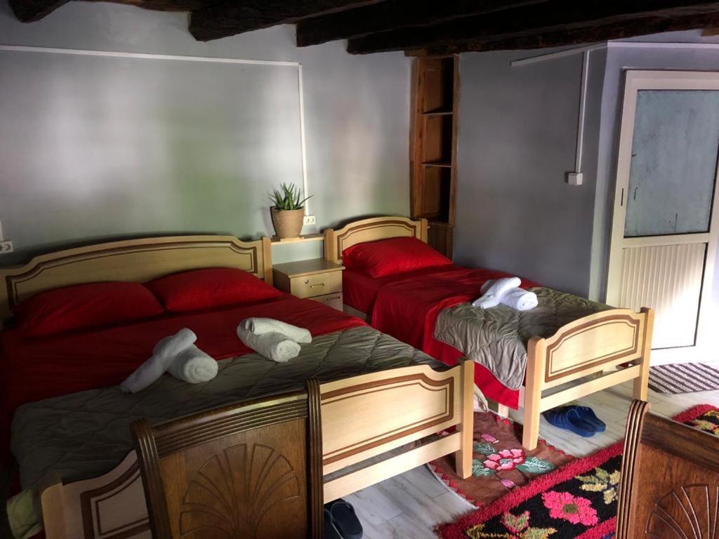 Guesthouse Kujtimi テス エクステリア 写真