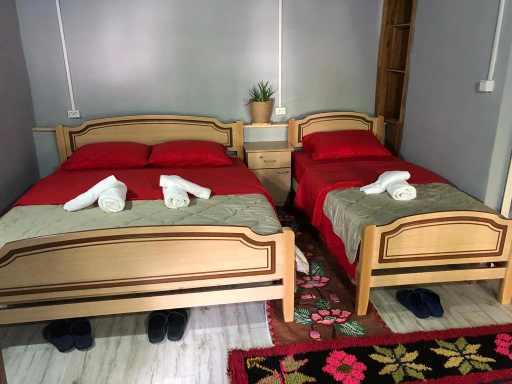 Guesthouse Kujtimi テス エクステリア 写真